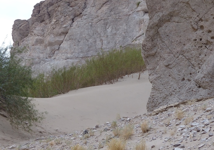 Sand dune alongside trail